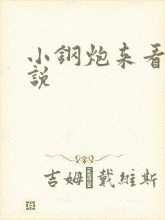 小钢炮来看我小说