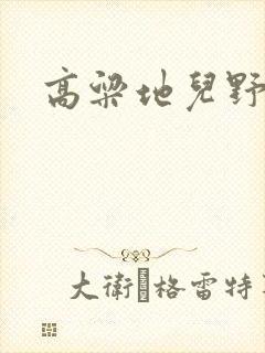 高粱地儿野炕头