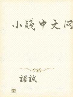 小贱中文网