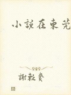 小说在东莞