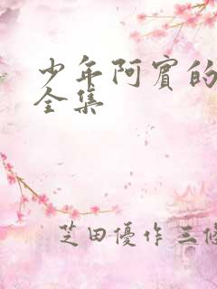 少年阿宾的故事全集