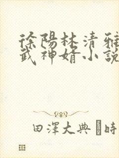 徐阳林清雅绝世武神婿小说