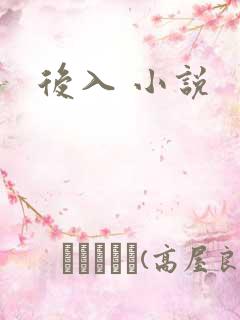 后入 小说