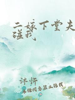 二嫁下堂夫君别碰我