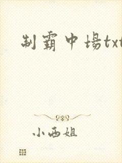 制霸中场txt