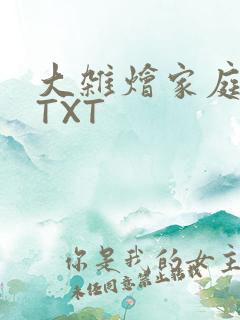 大杂烩家庭小说TXT