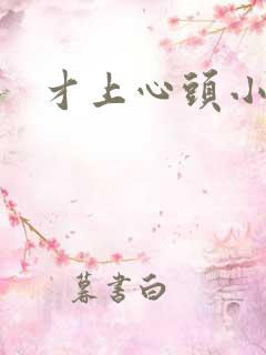 才上心头小说
