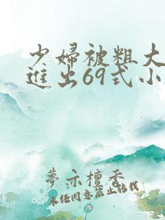 少妇被粗大猛烈进出69式小说