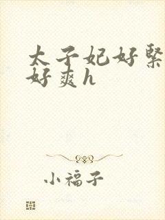 太子妃好紧皇上好爽h