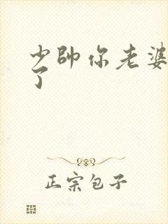 少帅你老婆又跑了