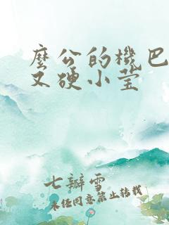 么公的机巴又粗又硬小莹