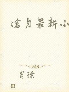 沧月最新小说