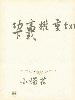 功高权重txt下载