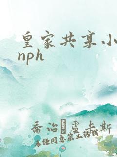 皇家共享小公主nph