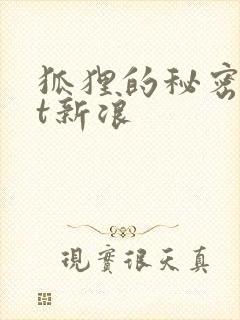 狐狸的秘密txt新浪