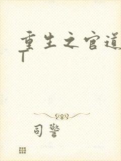 重生之官道TXT
