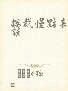 总裁慢点来 小说