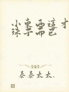 小东西这才一颗珠子而已