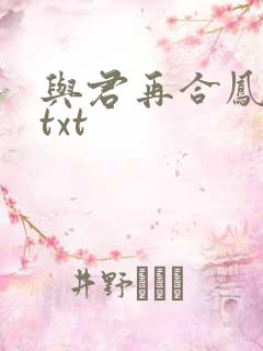 与君再合凤求凰txt