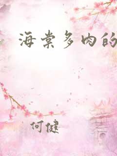 海棠多肉的文笔