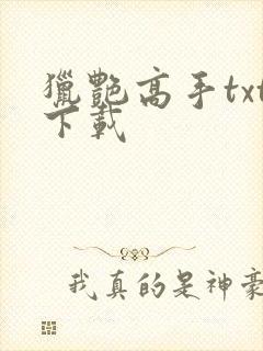 猎艳高手txt下载