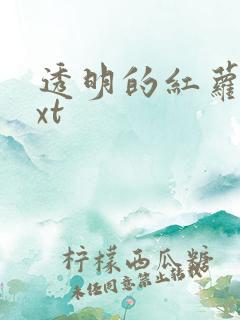 透明的红萝卜txt