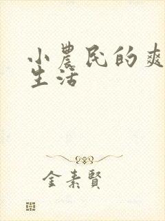 小农民的爽歪歪生活