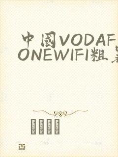 中国VODAFONEWIFI粗暴APP