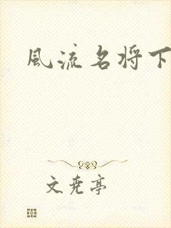 风流名将下载