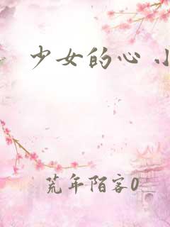少女的心 小说