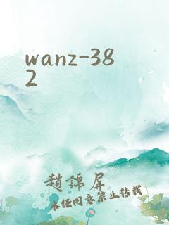 wanz-382
