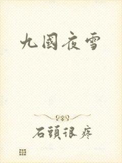 九国夜雪