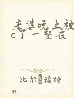 老婆晚上被躁狂c了一整夜