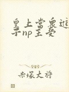 皇上当众进入太子np主受