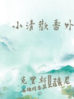 小清欢番外