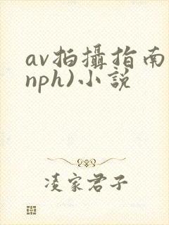 av拍摄指南(nph)小说