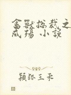 禽兽总裁之虐爱成殇 小说