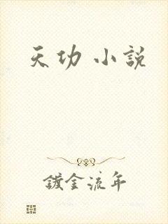 天功 小说