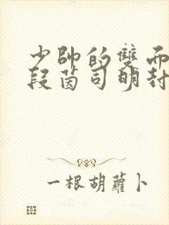 少帅的双面宠妻段茵司明封免费