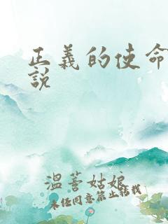 正义的使命 小说