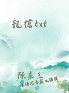 龙枪txt