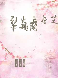 引火上身芝麻糖笔趣阁