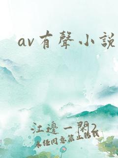 av有声小说