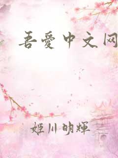 吾爱中文网
