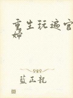 重生玩遍官场贵妇