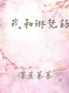 我和琳梵的故事