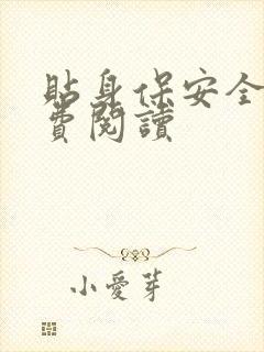 贴身保安全文免费阅读