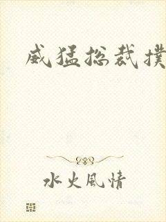 威猛总裁扑娇妻