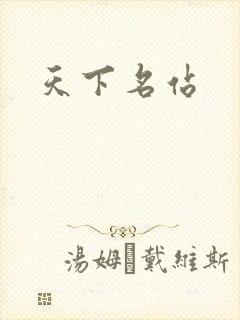 天下名站
