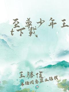 至尊少年王txt下载